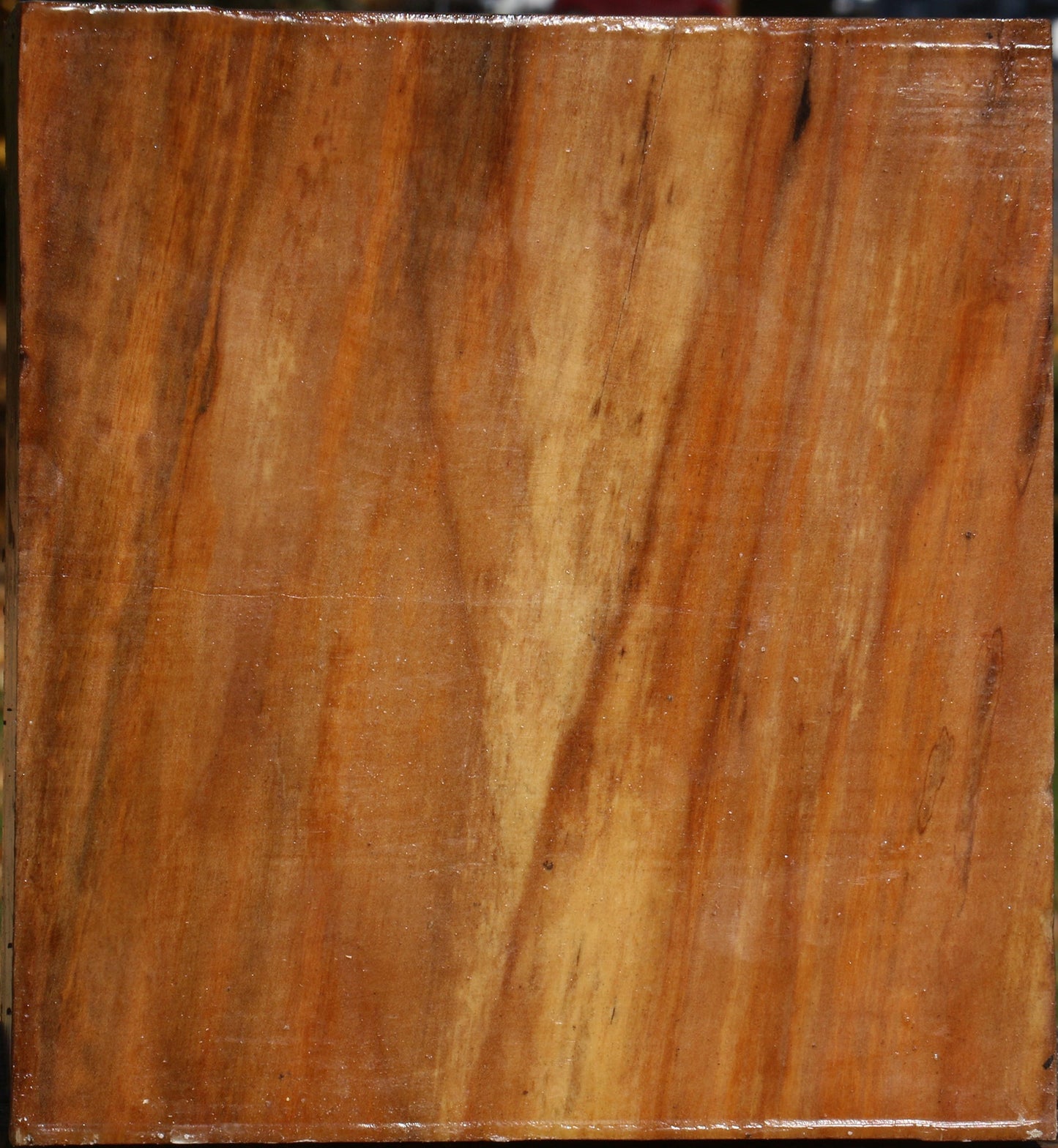 Spalted Maple Bowl Blank