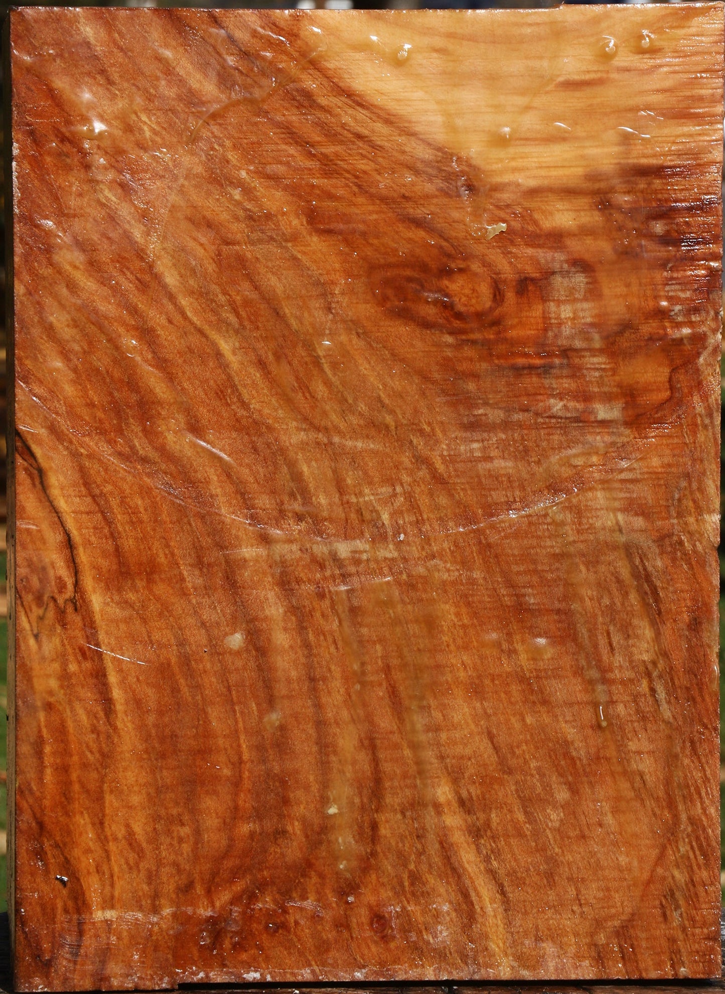 Extra Fancy Maple Vessel Blank