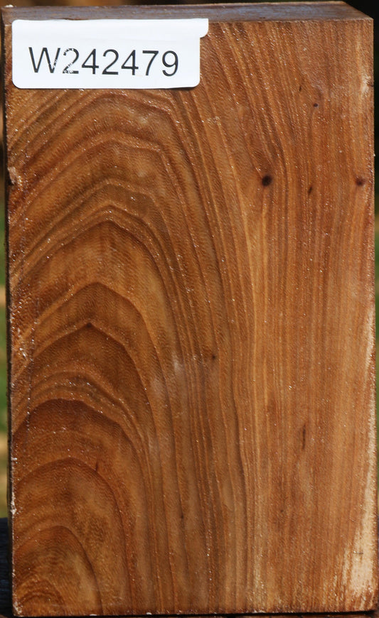 Elm Turning Square