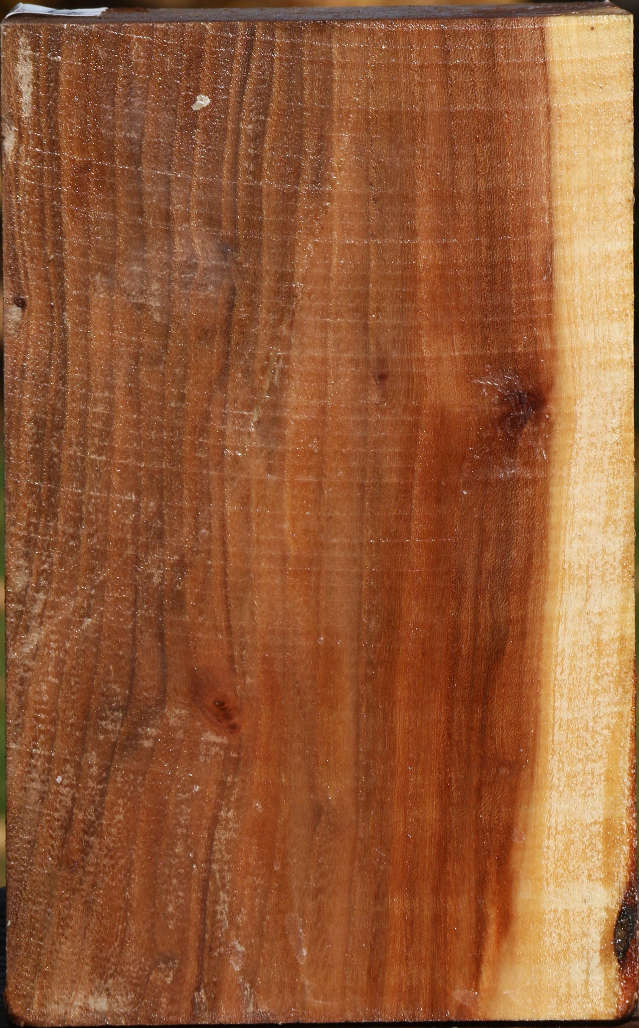 Elm Turning Square