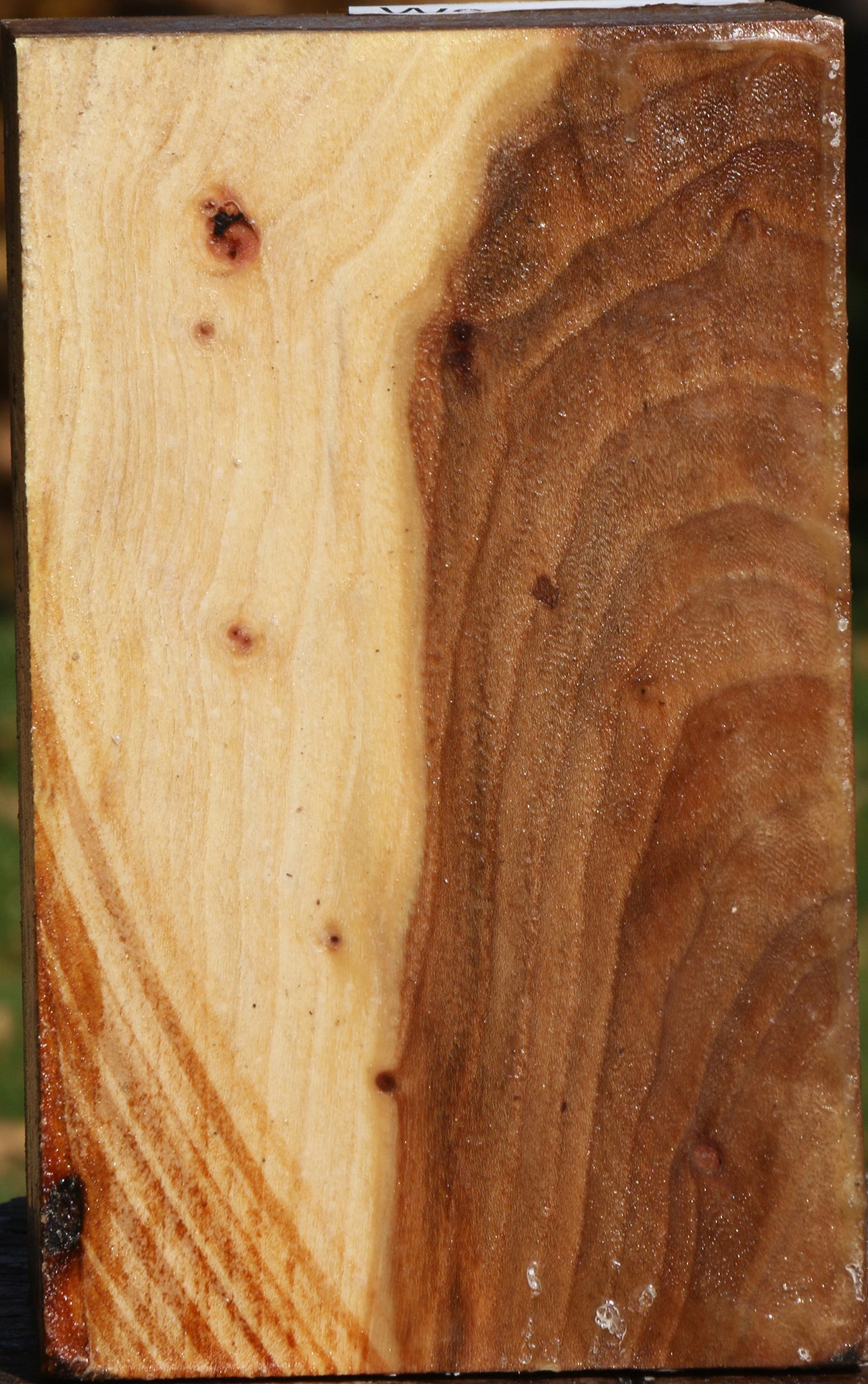 Elm Turning Square