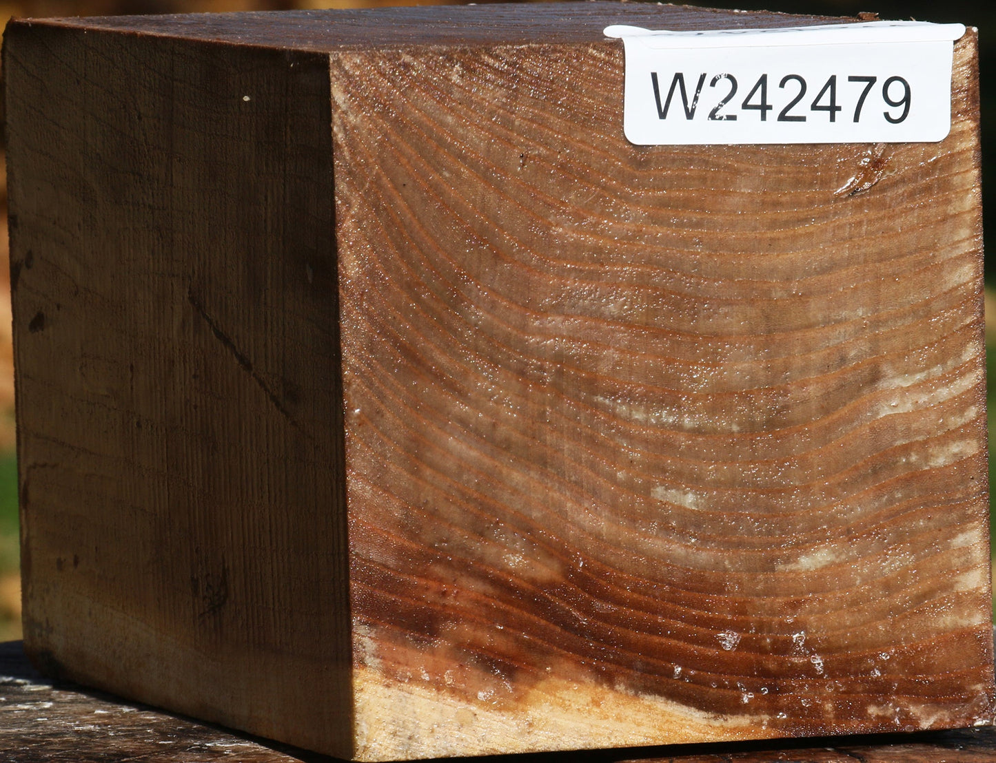 Elm Turning Square