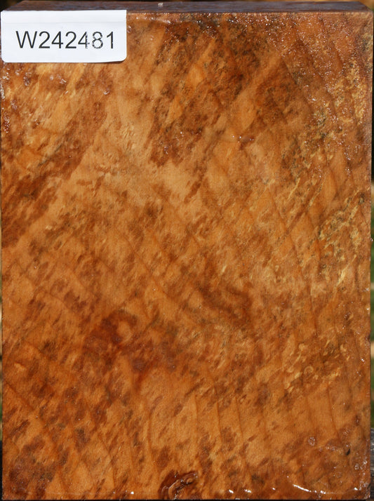 Figured Spalted Maple Vessel Blank