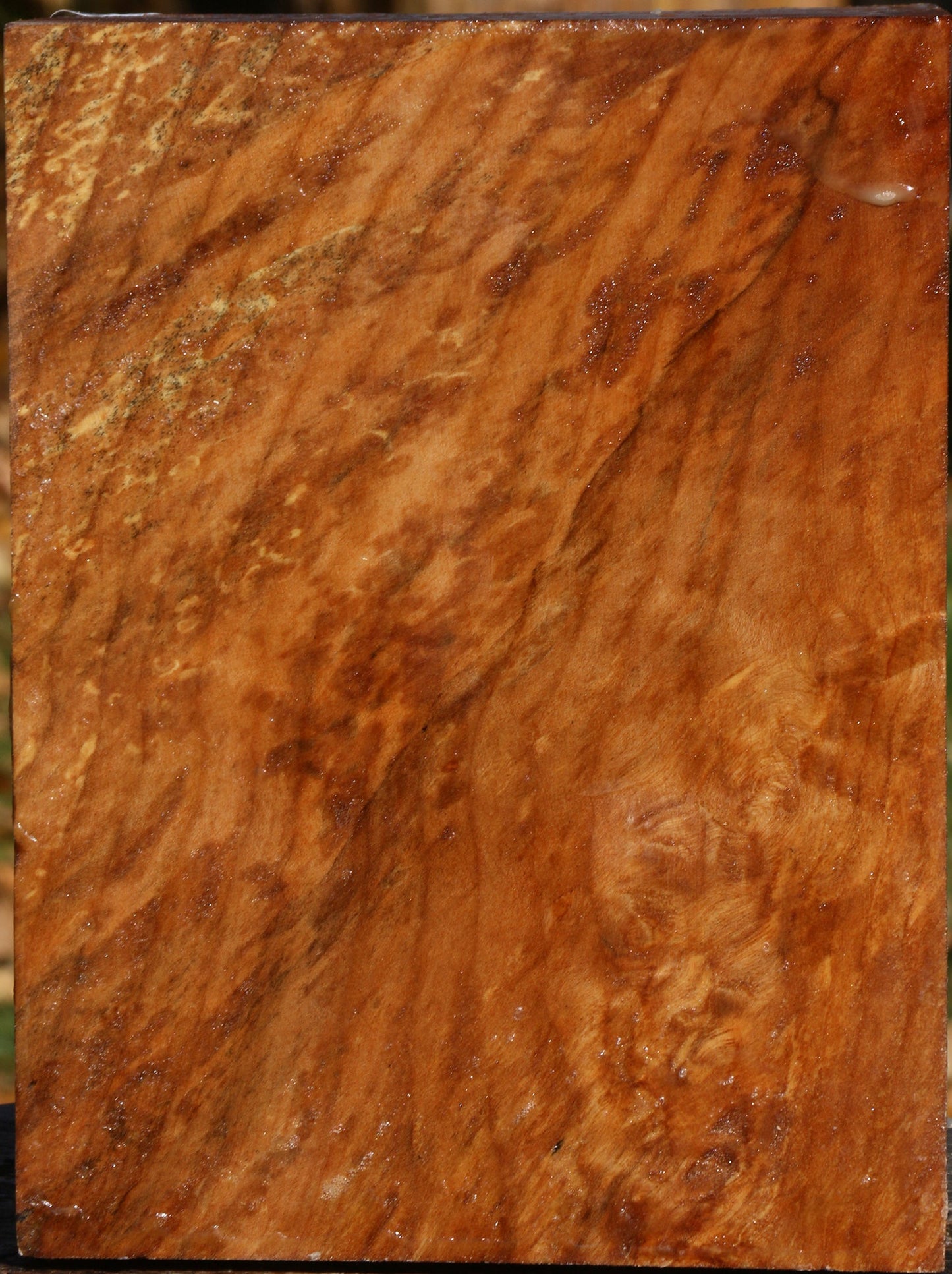 Figured Spalted Maple Vessel Blank