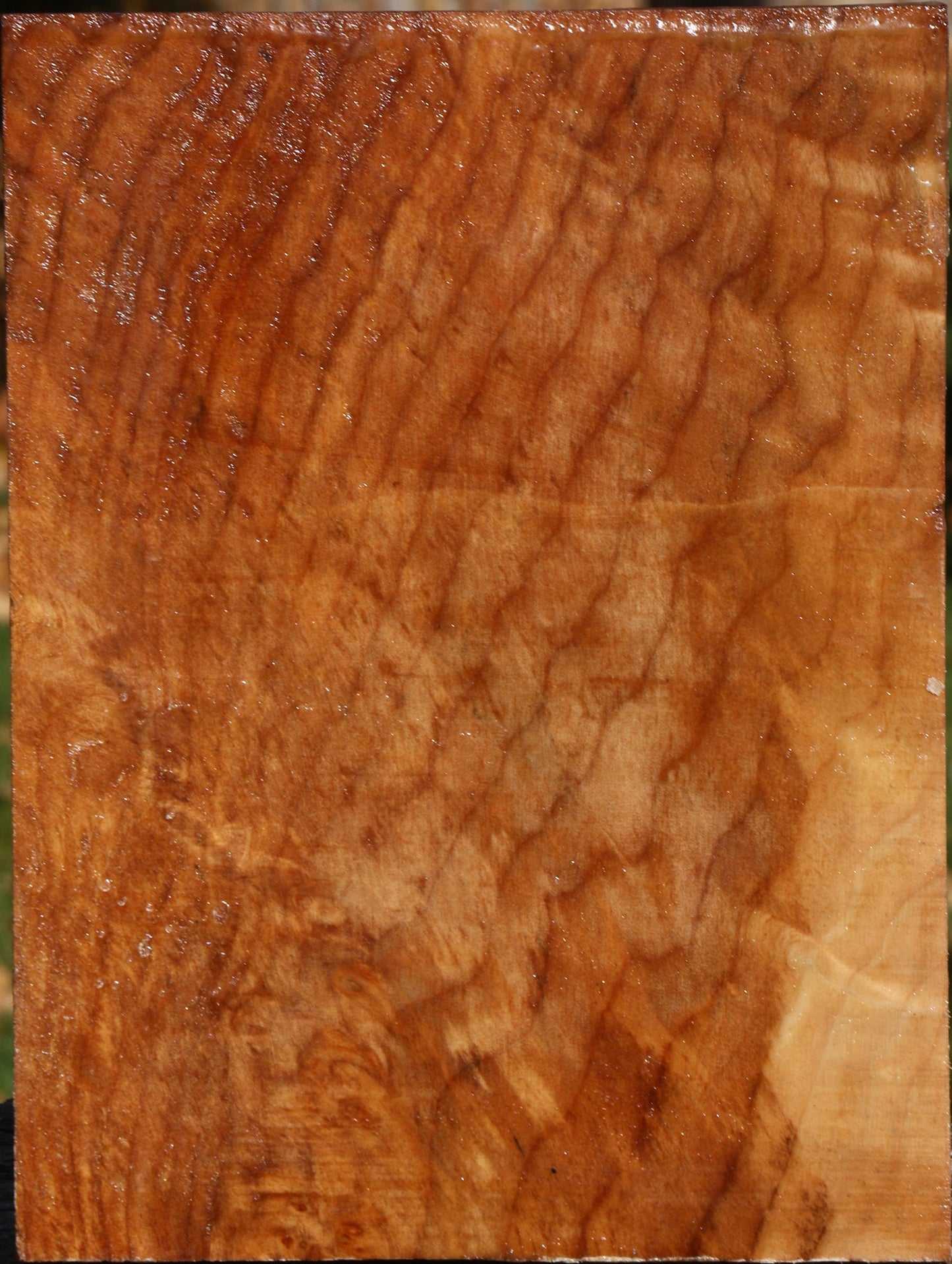 Figured Spalted Maple Vessel Blank