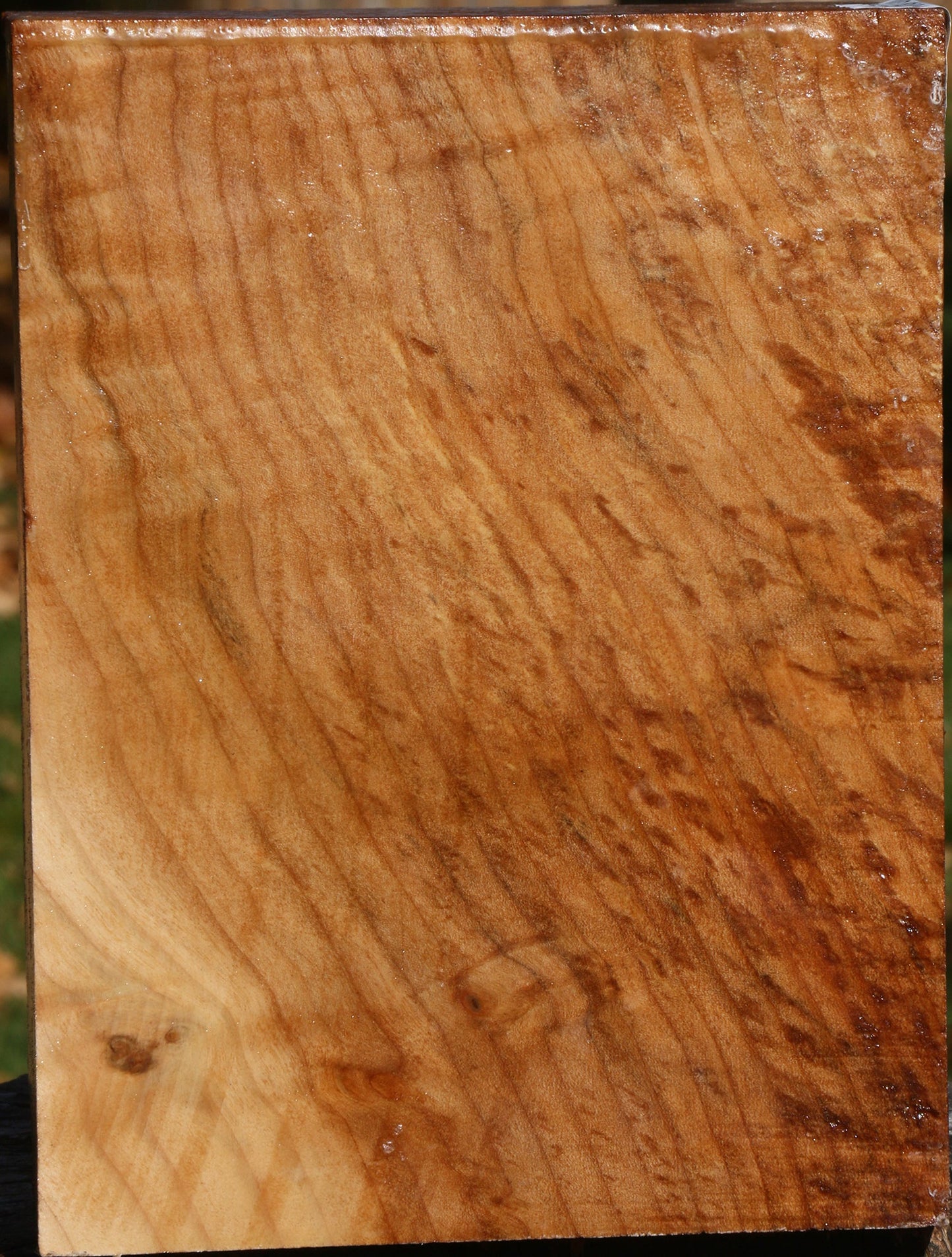 Figured Spalted Maple Vessel Blank