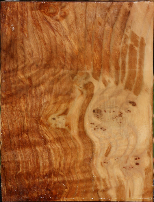 Figured Spalted Maple Vessel Blank