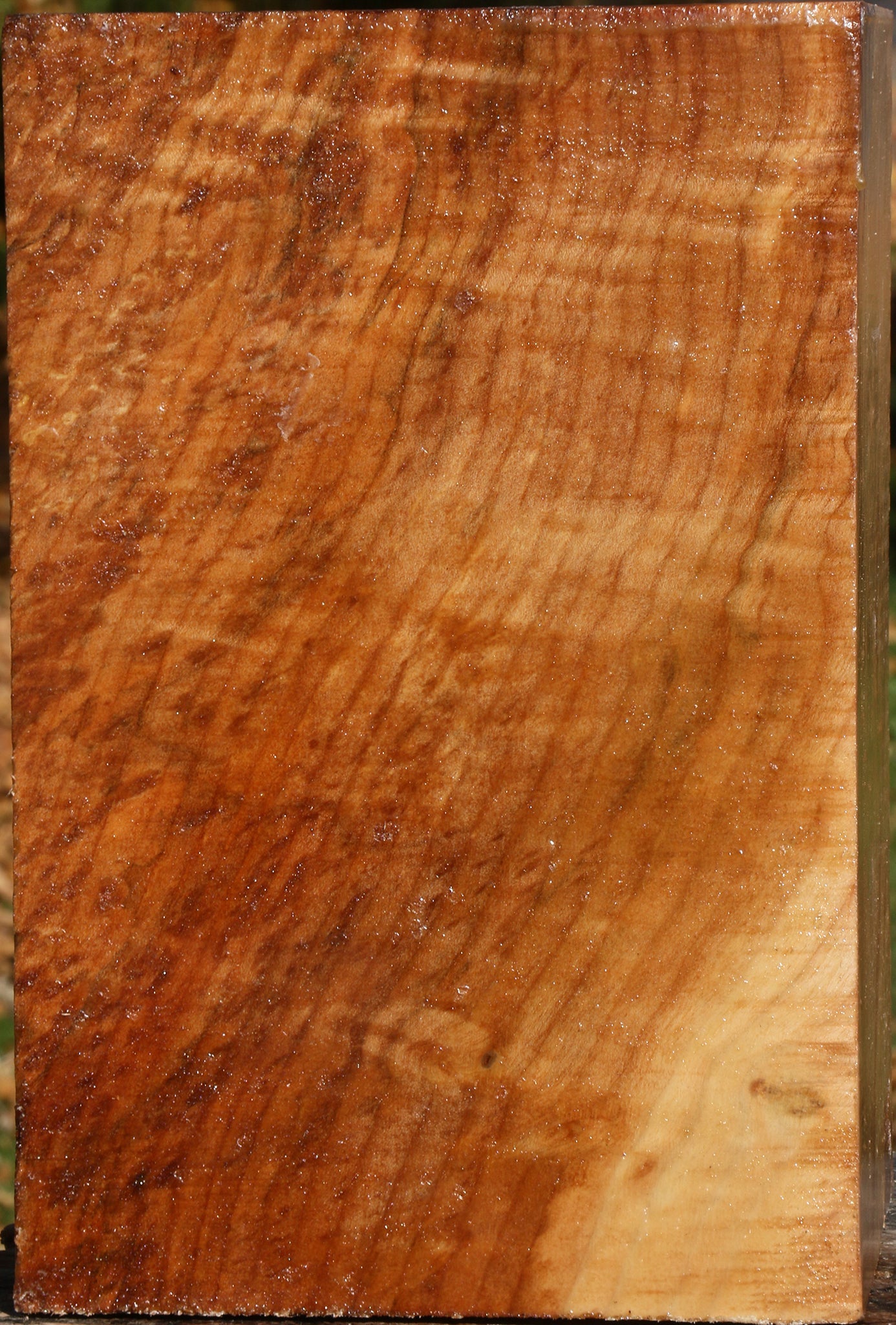 Figured Spalted Maple Vessel Blank