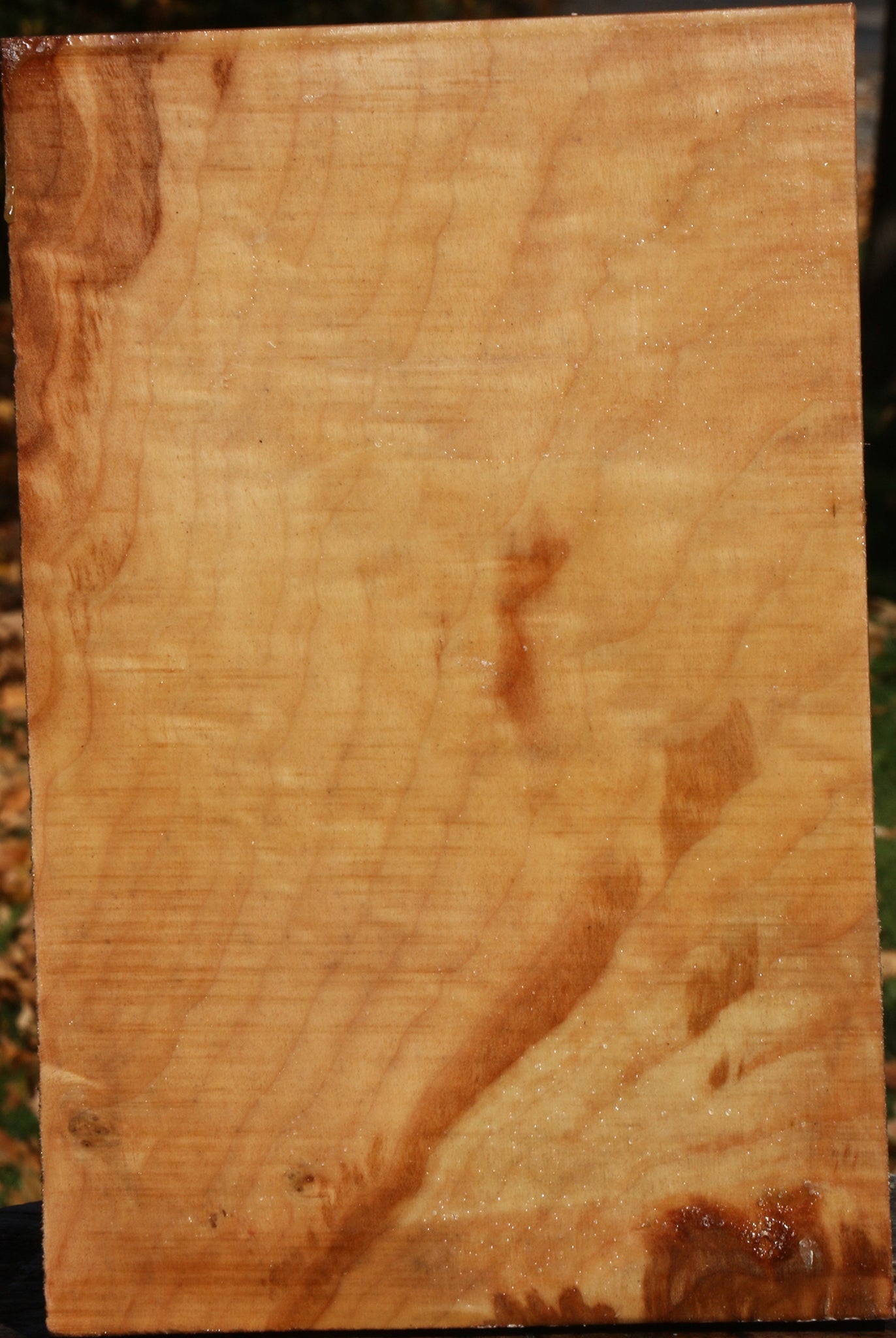 Figured Spalted Maple Vessel Blank