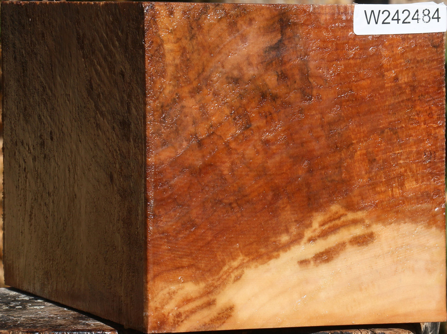 Figured Spalted Maple Vessel Blank