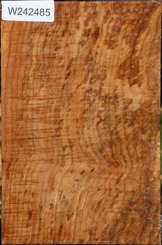 Extra Fancy Spalted Maple Vessel Blank