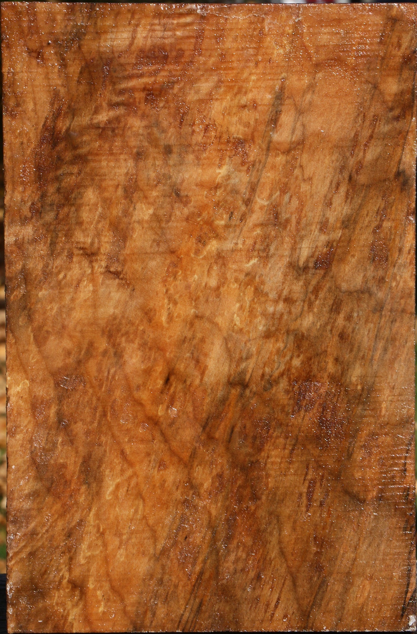 Extra Fancy Spalted Maple Vessel Blank