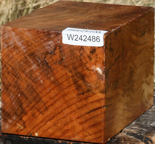 Figured Spalted Maple Vessel Blank