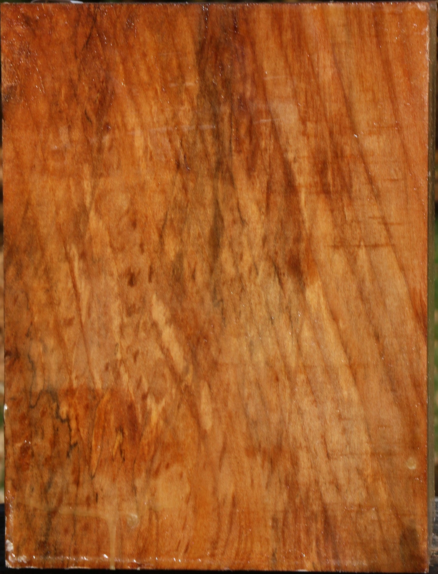 Spalted Maple Vessel Blank