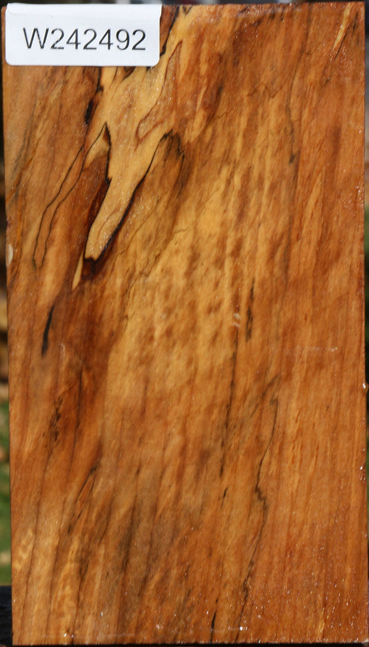 Spalted Maple Vessel Blank