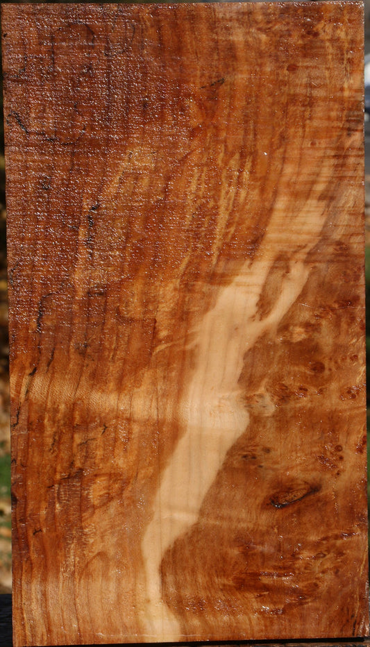 Spalted Maple Vessel Blank