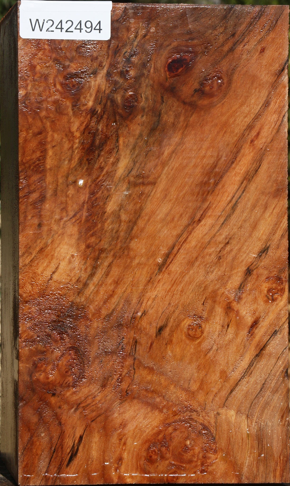 Spalted Maple Vessel Blank