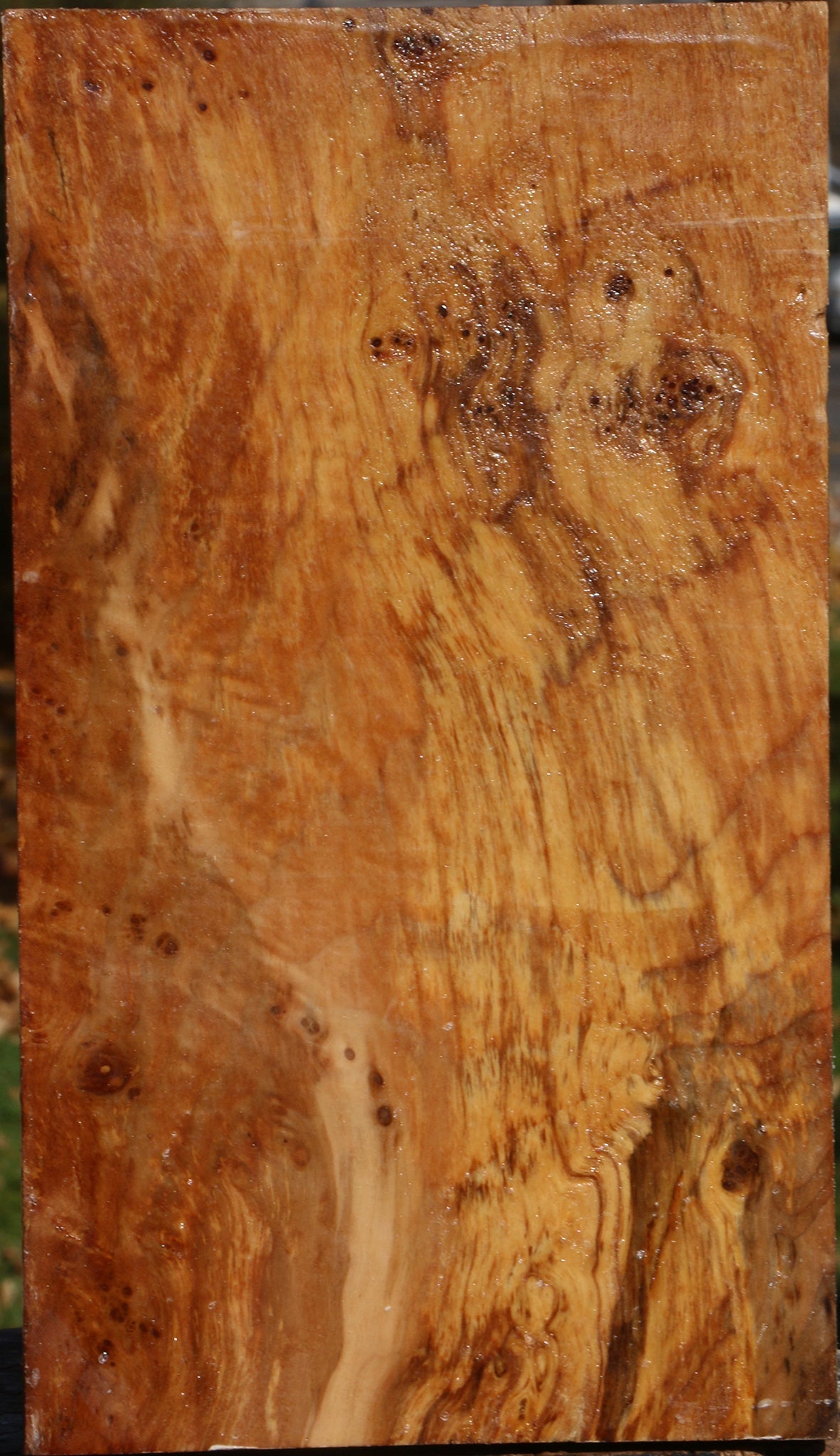 Spalted Maple Vessel Blank