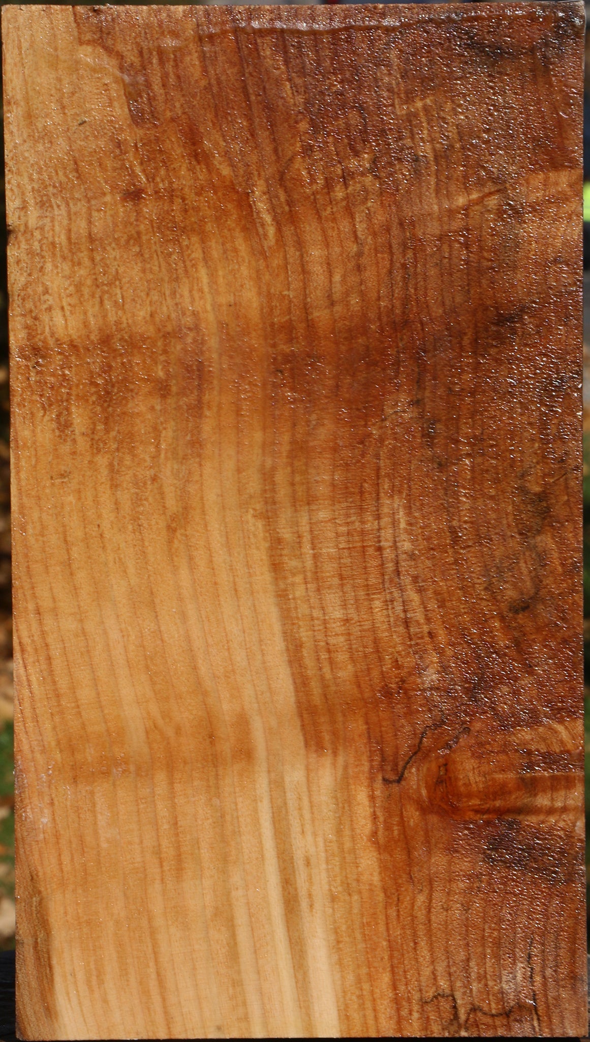 Spalted Maple Vessel Blank