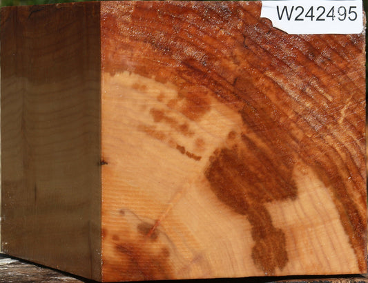 Figured Maple Vessel Blank