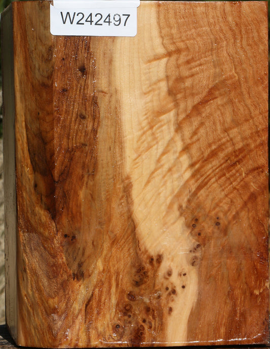 Figured Maple Vessel Blank