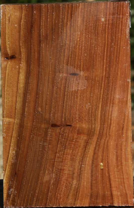 Elm Turning Square