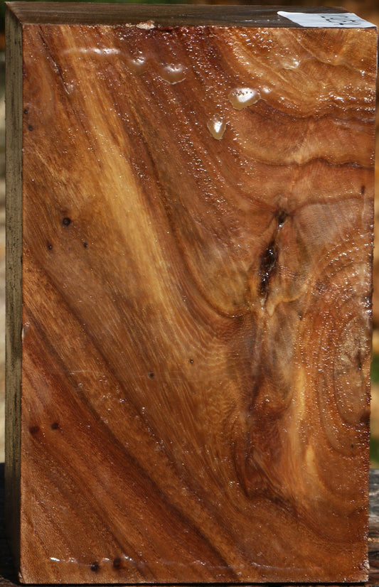 Elm Turning Square