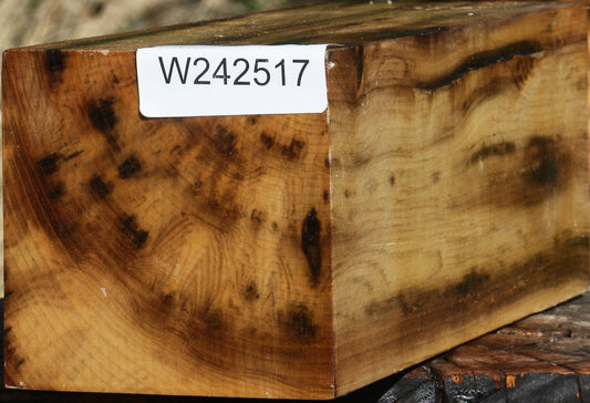 Tiger Myrtle Vessel Blank