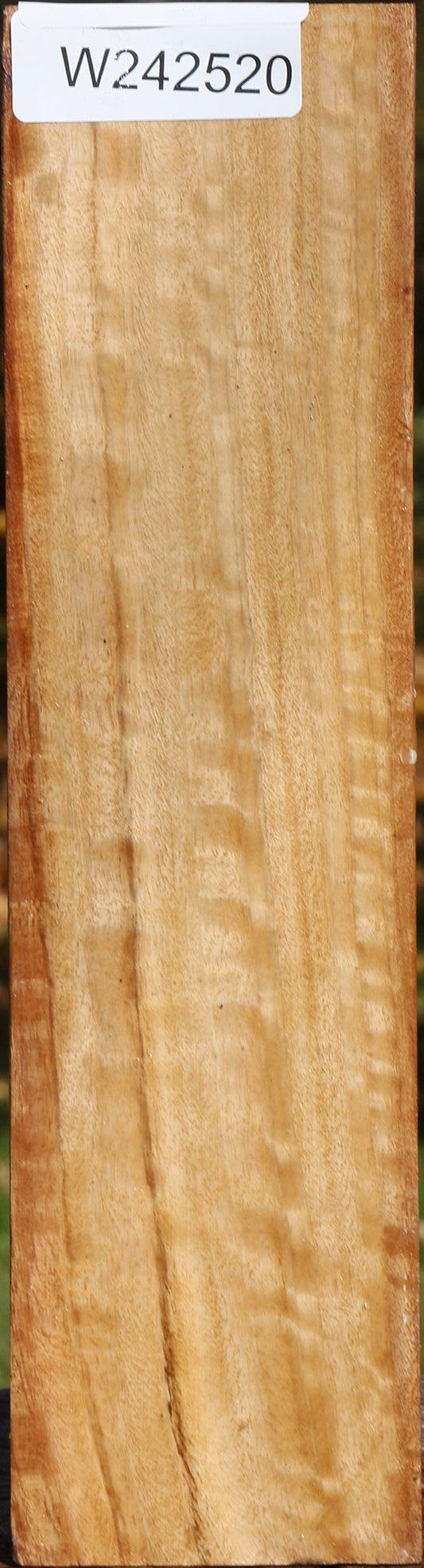 Figured Black Cottonwood Peppermill