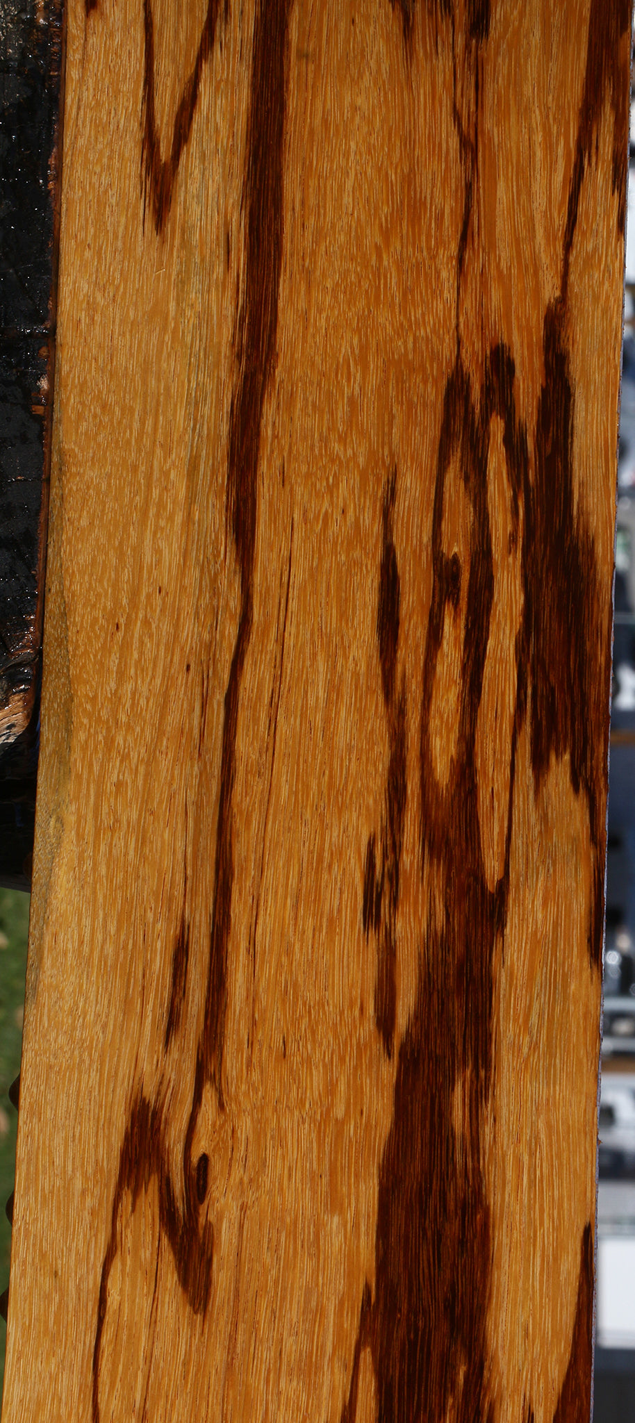 Figured Marblewood Lumber