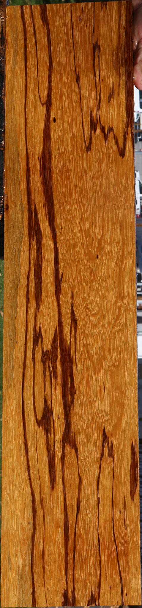 Figured Marblewood Lumber