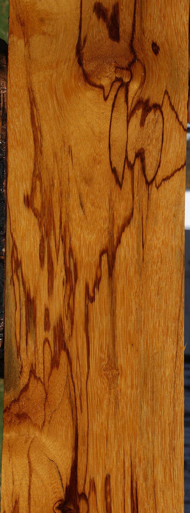 Extra Fancy Marblewood Lumber