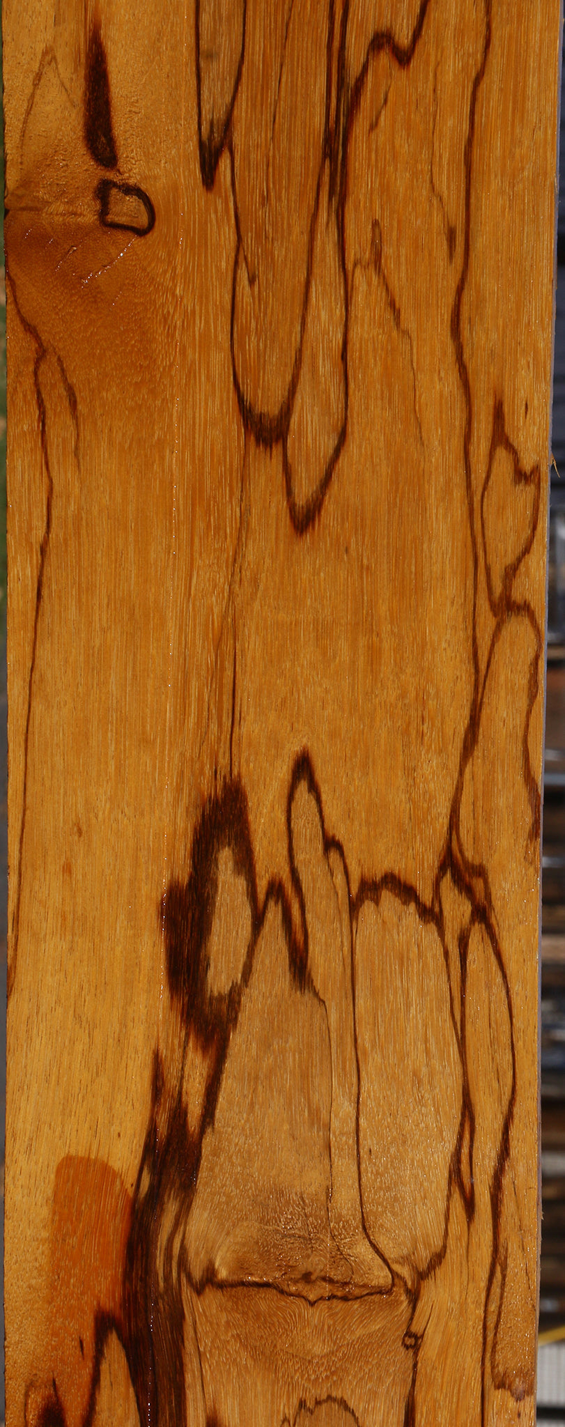 Extra Fancy Marblewood Lumber