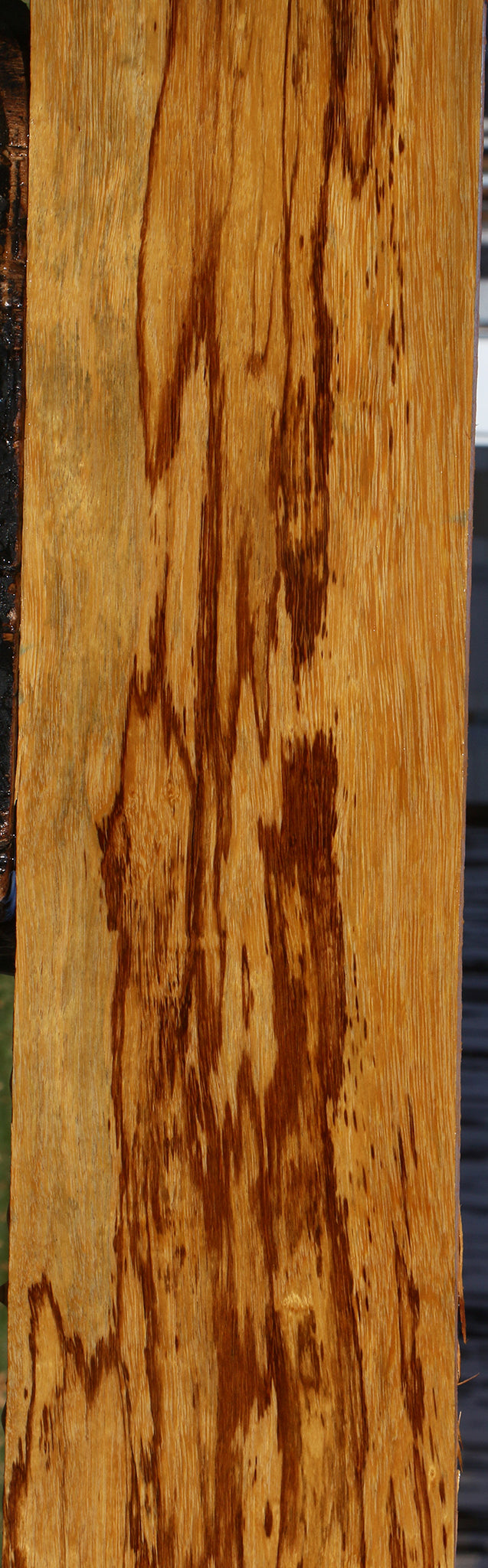 Extra Fancy Marblewood Lumber