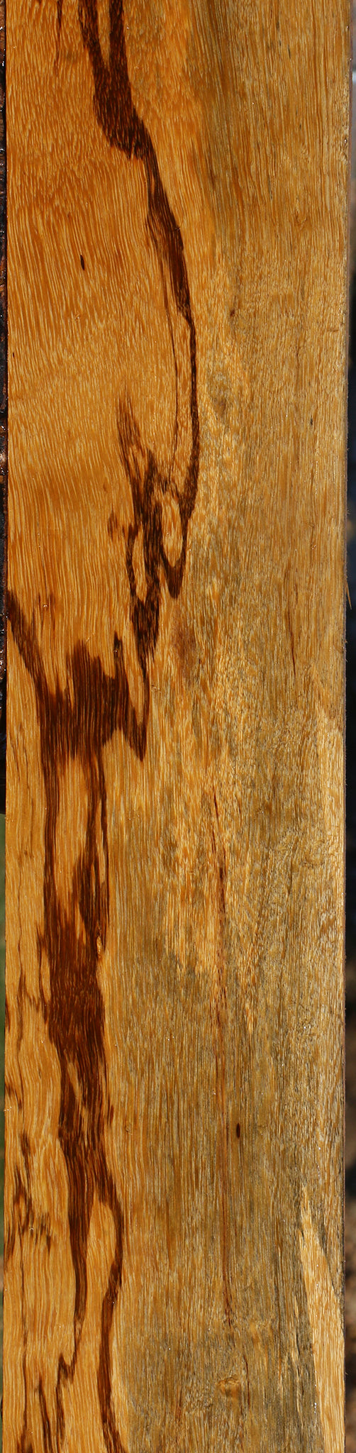 Figured Marblewood Lumber