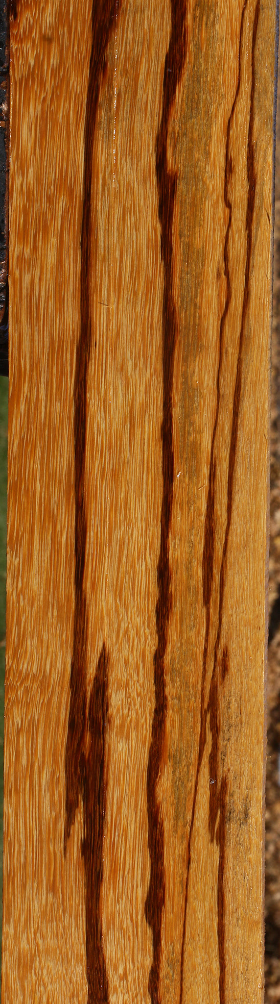 Figured Marblewood Lumber