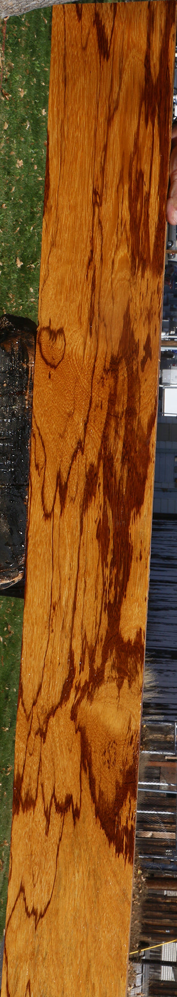 Extra Fancy Marblewood Lumber