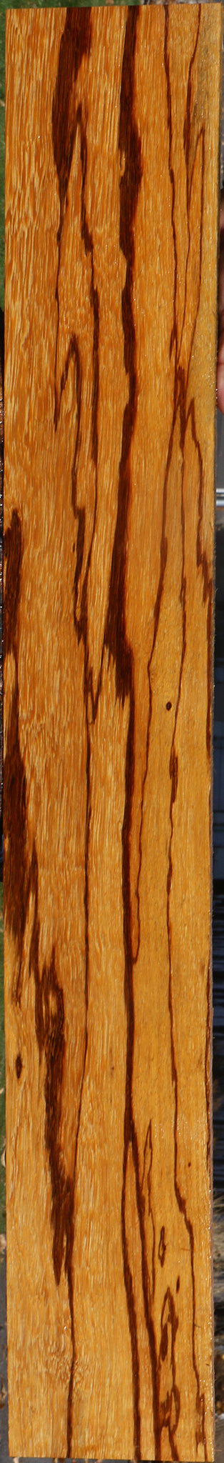 Extra Fancy Marblewood Lumber