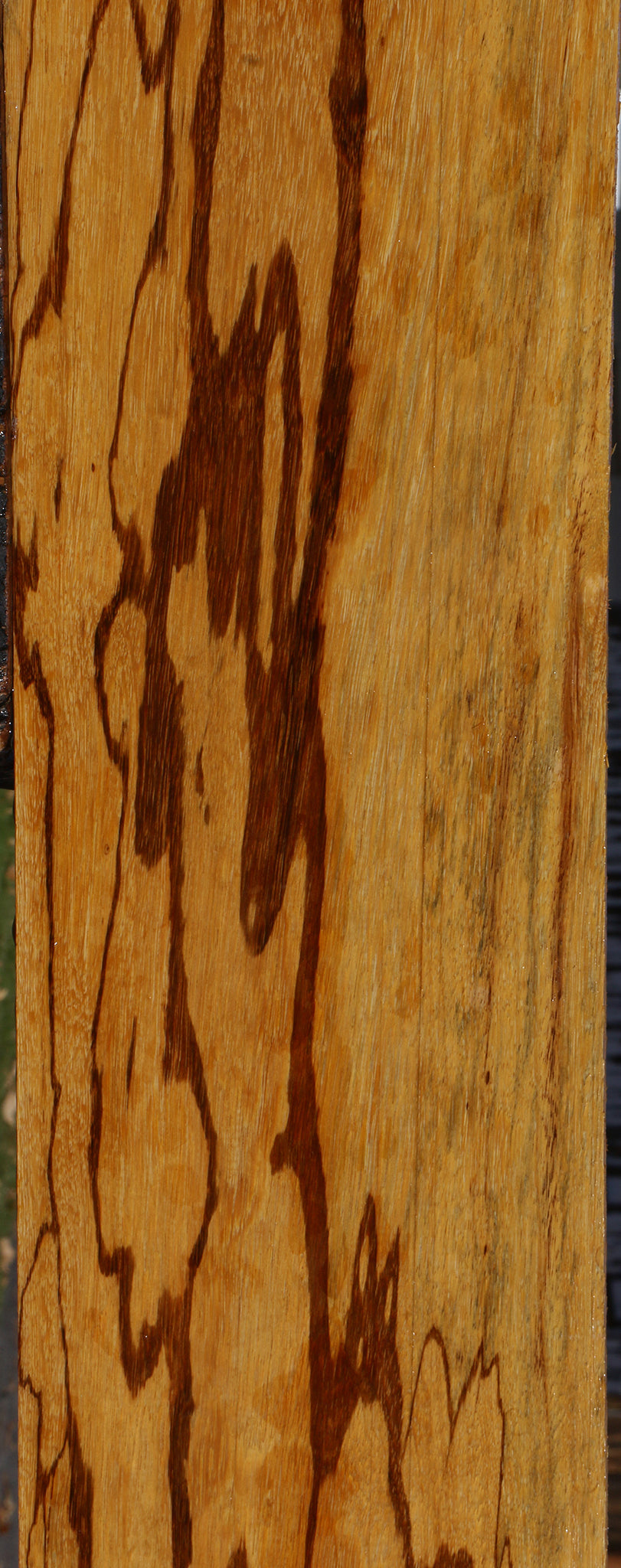 Figured Marblewood Lumber