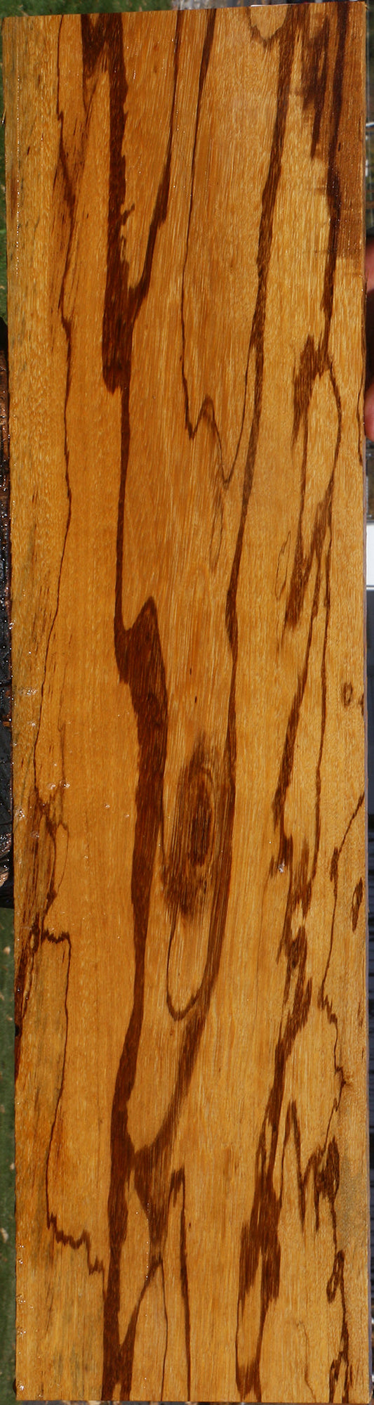 Figured Marblewood Lumber