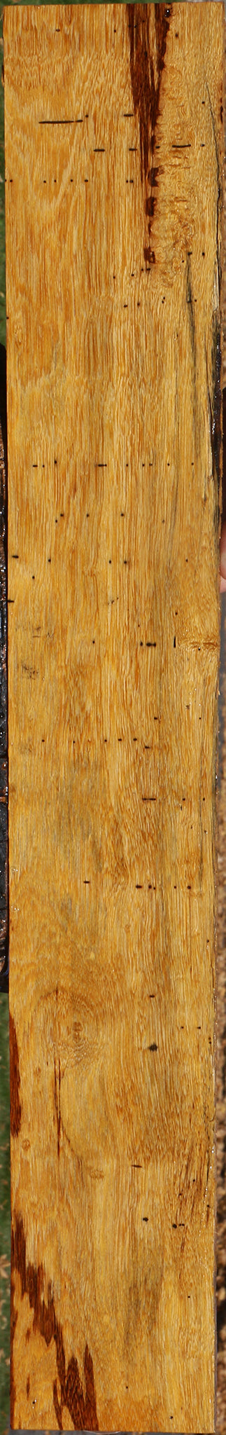 Rustic Marblewood Lumber