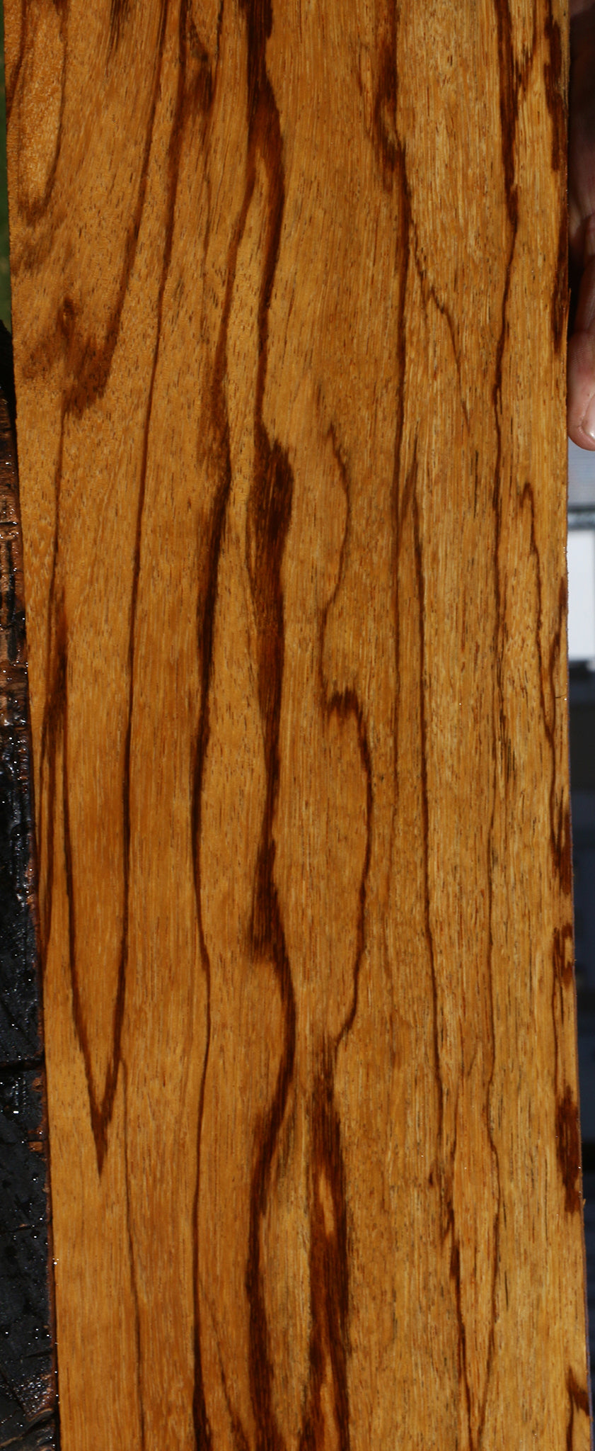 Figured Marblewood Lumber