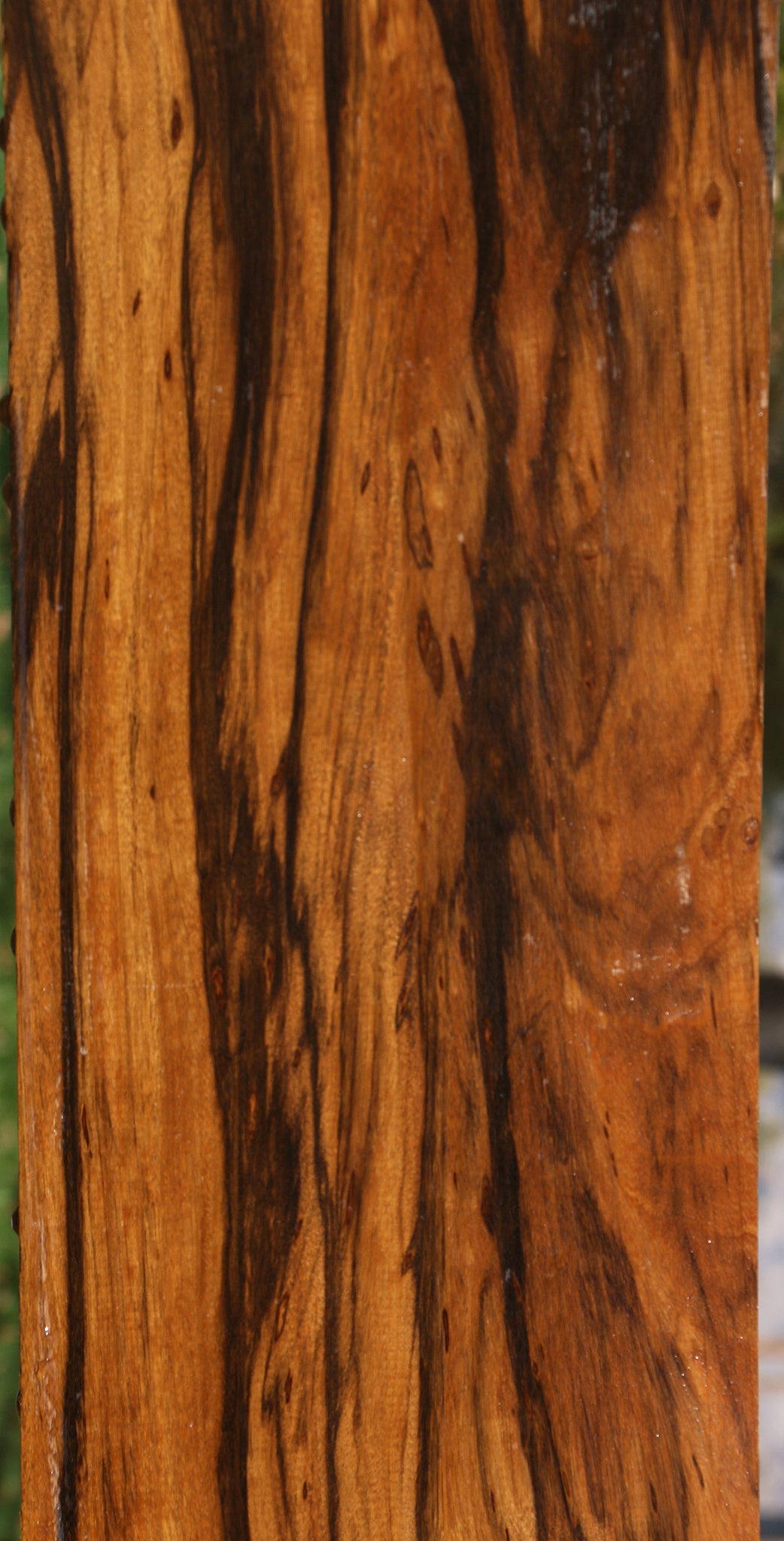 Extra Fancy Branquilho Lumber (Free Shipping Excluded)