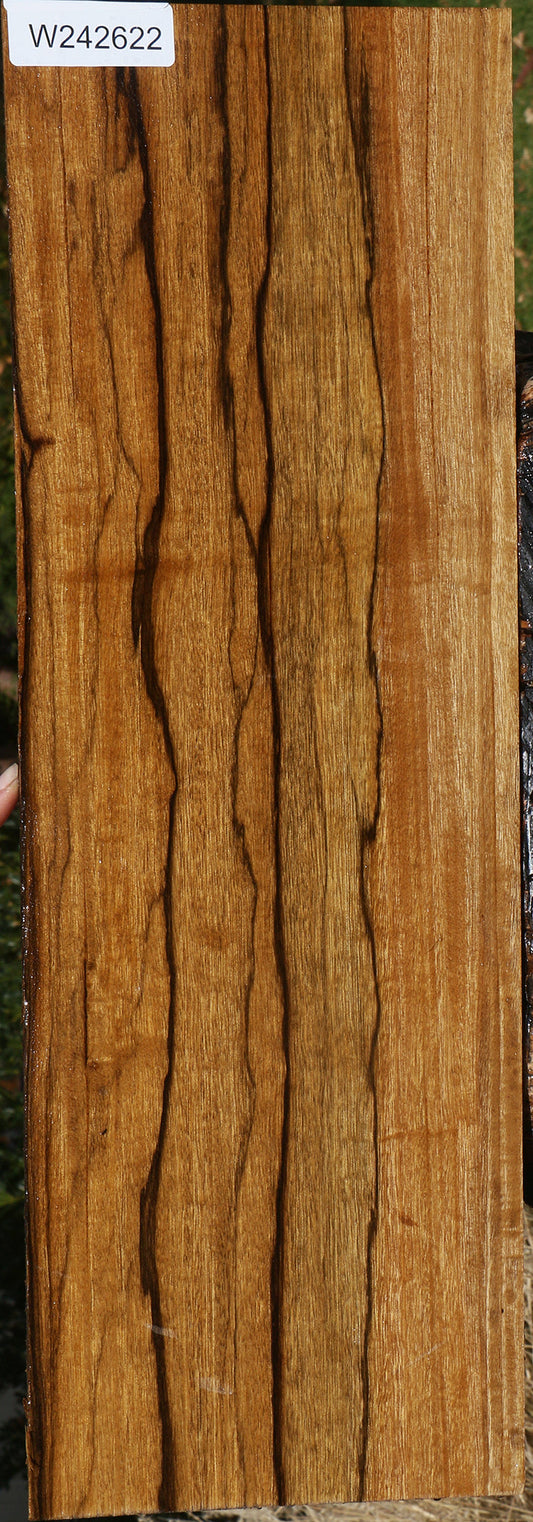 Figured Branquilho Lumber