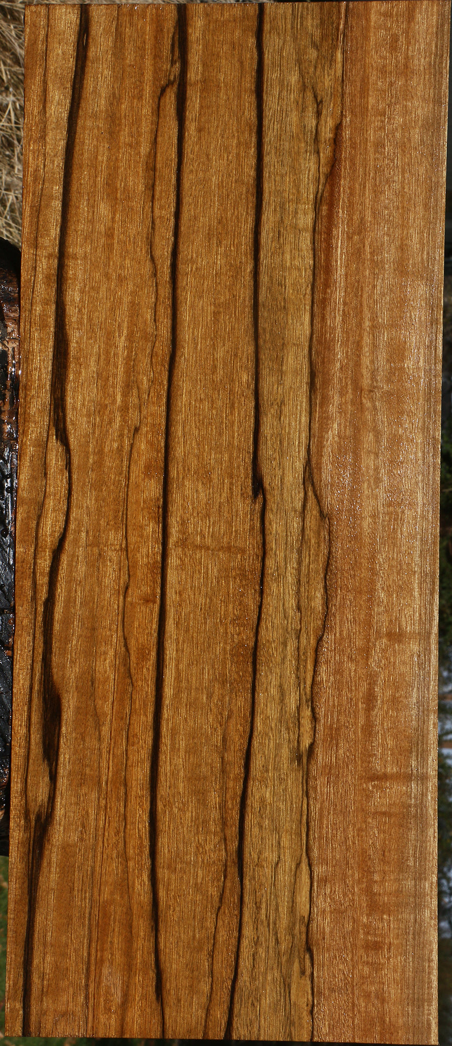 Figured Branquilho Lumber