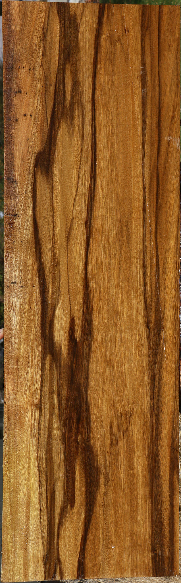 Extra Fancy Branquilho Lumber