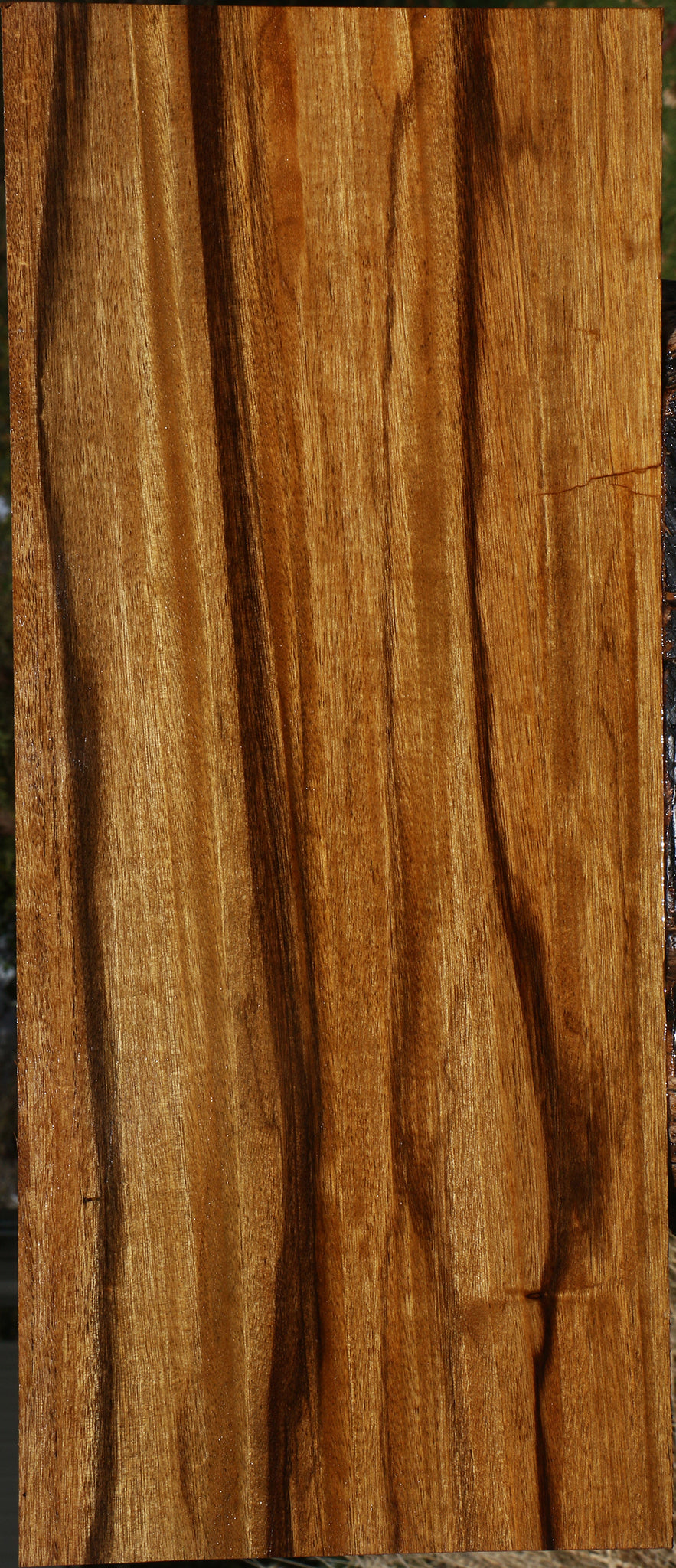 Extra Fancy Branquilho Lumber