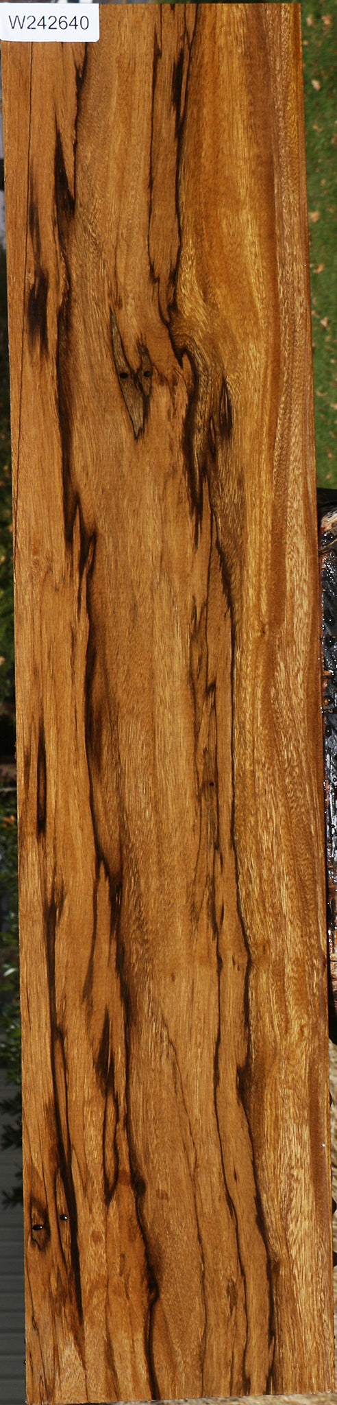 Figured Branquilho Lumber