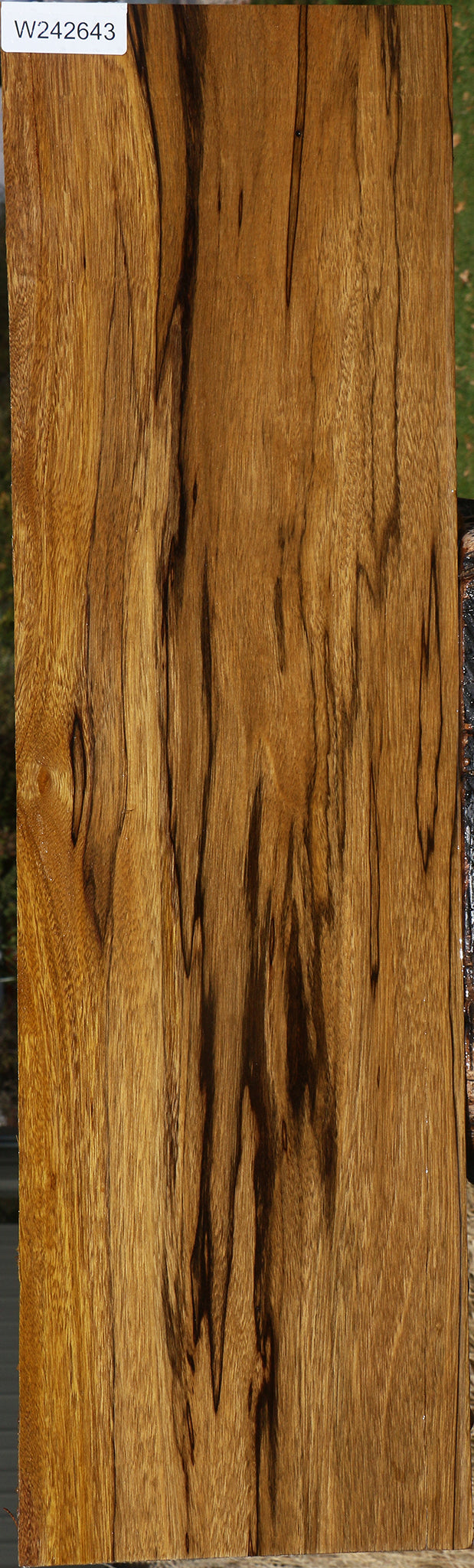 Figured Branquilho Lumber