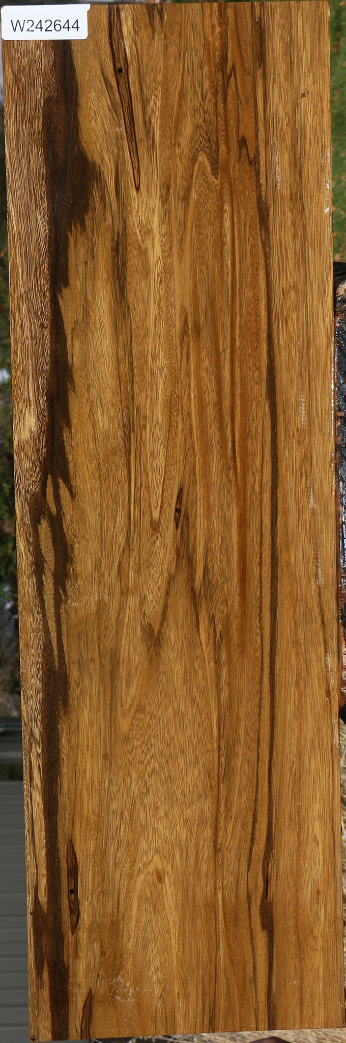 Figured Branquilho Lumber